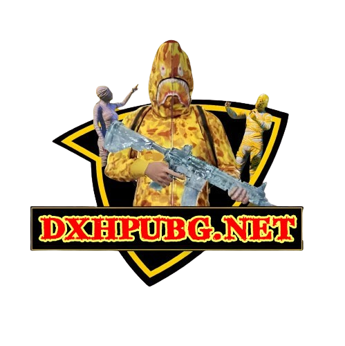 DXHPUBG.NET